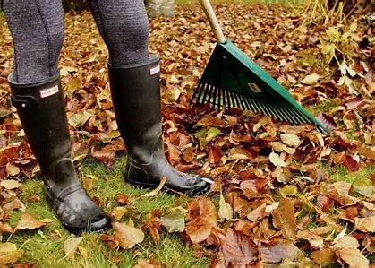 Getting Your Garden Ready For Winter